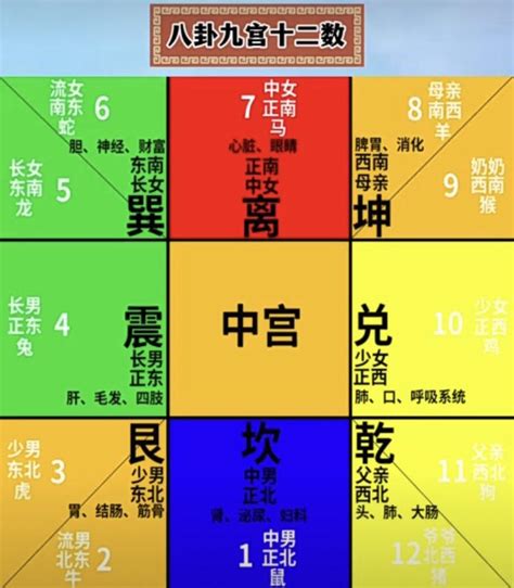 奇門遁甲九宮格|奇門遁甲學習筆記之九宮